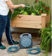 A gardener uses the hose from the manual reel to water vegetables in a raised planter