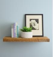 A floating shelf with books, a potted plant and a framed picture on it