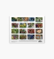 49L0797 - 2024/2025 Gardening Calendar