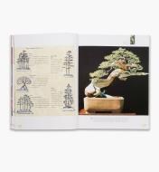 LA383 - The Bonsai Handbook