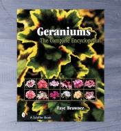 LD616 - Geraniums