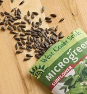 Sunflower microgreen seeds scattered on a wood surface