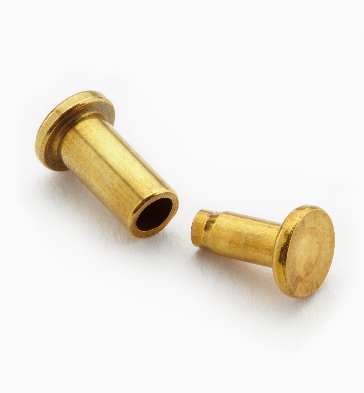 50 Pairs of Solid Brass Compression Rivets