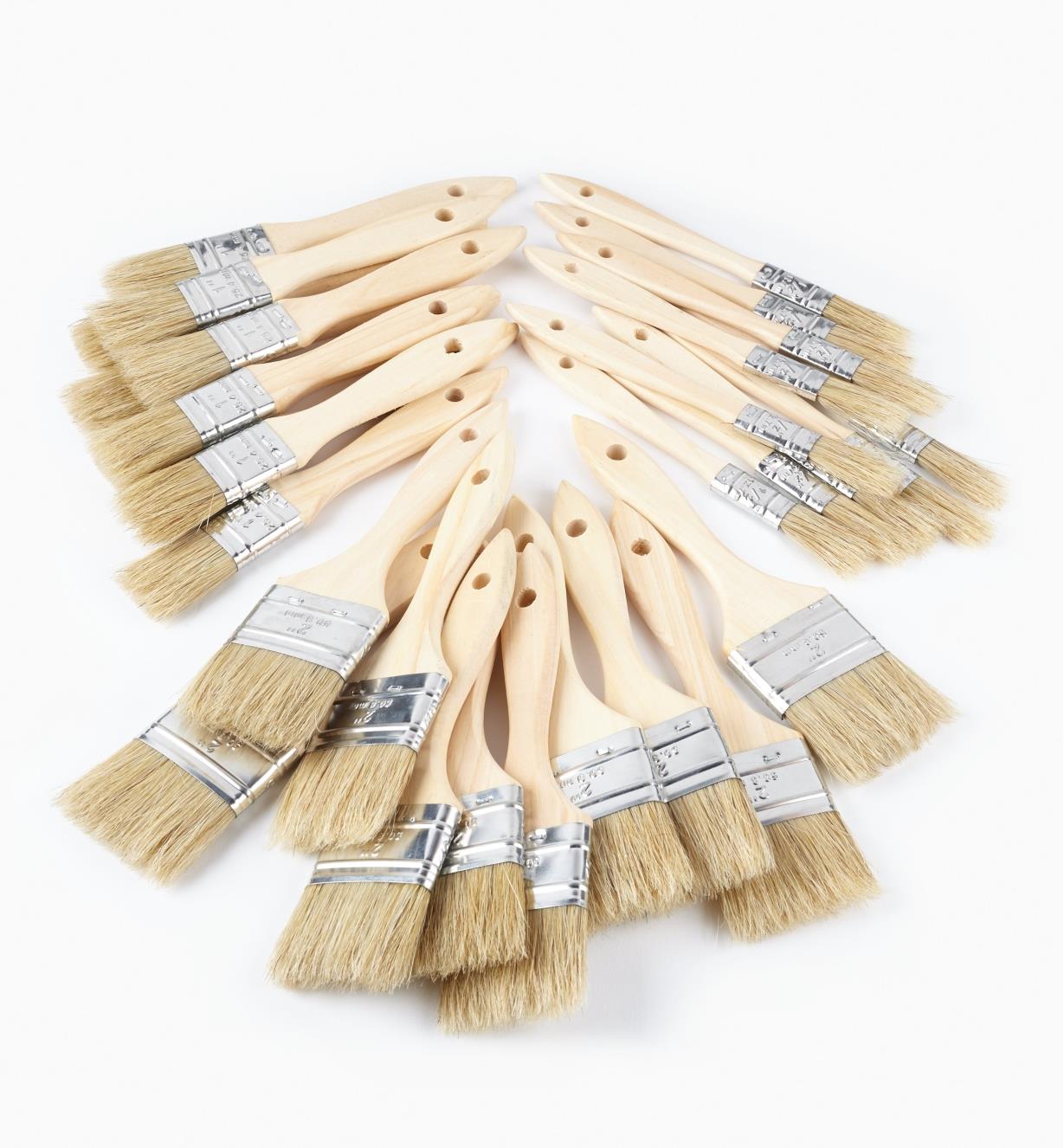 56z9930 - Set of 30 Bristle Brushes