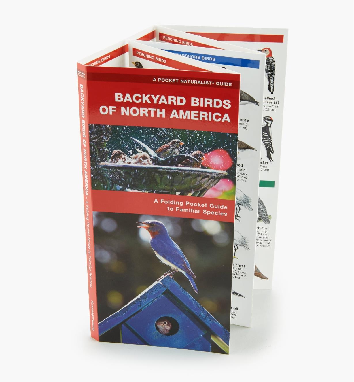 LA254 - Backyard Birds Pocket Guide