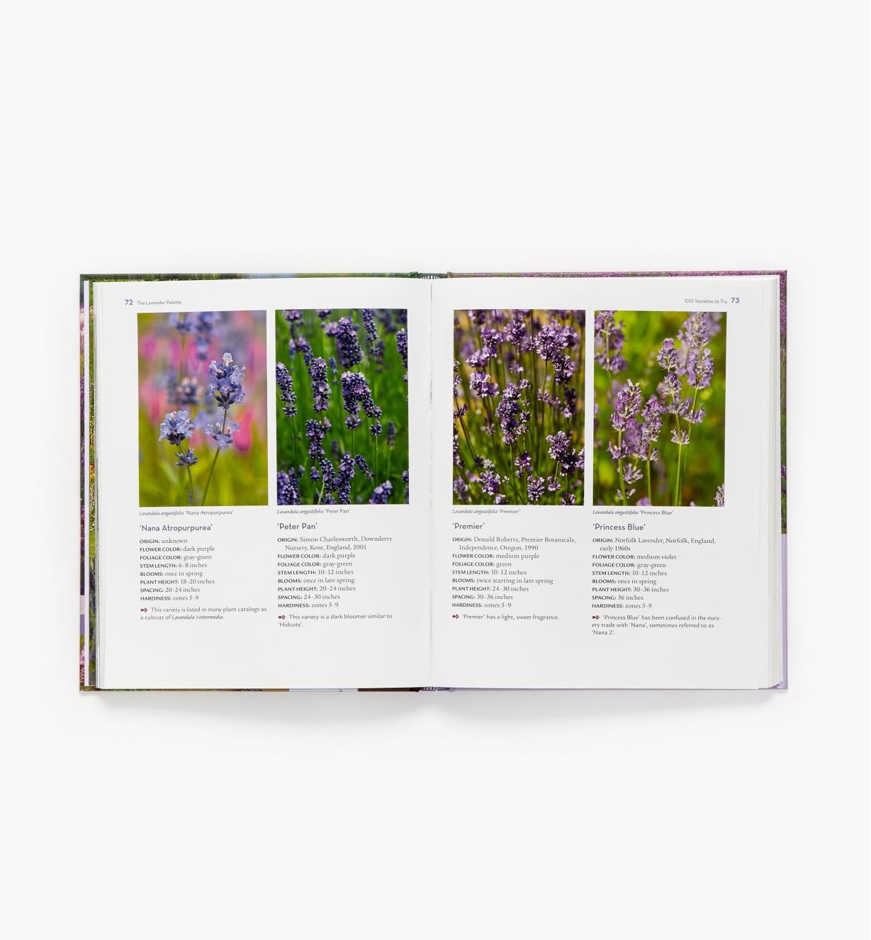 LA962 - The Lavender Lover's Handbook