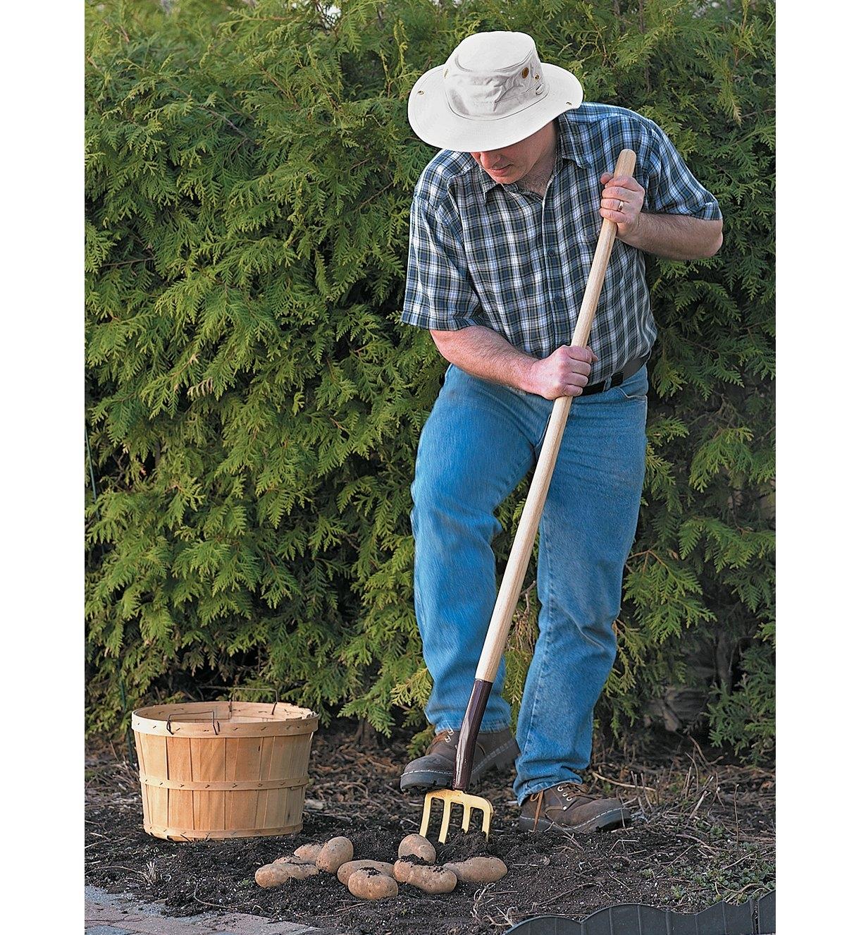 A man digging potatoes with the Spading Fork