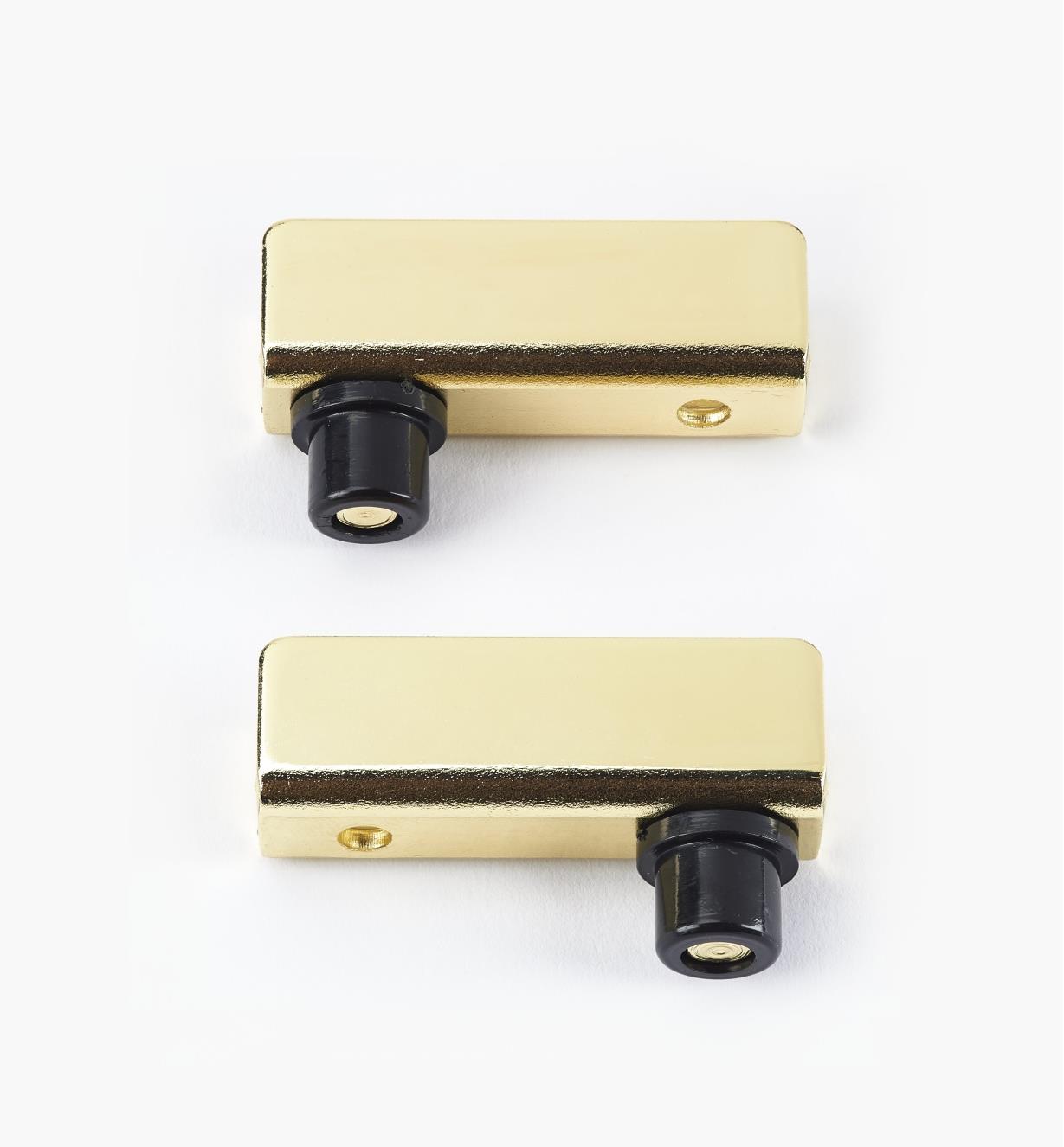 00W0401 - Brass Pin-Pivot Hinges, pair