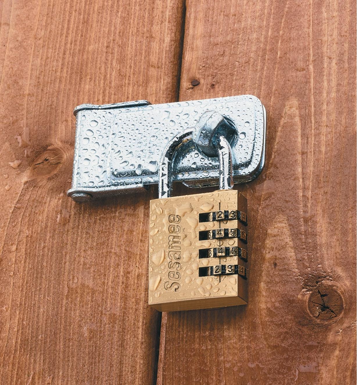 Door hasp secured with a 2 9/16" x 1 3/16" padlock