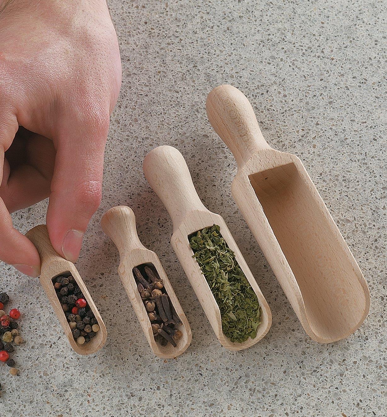 Beechwood scoops filled with various spices