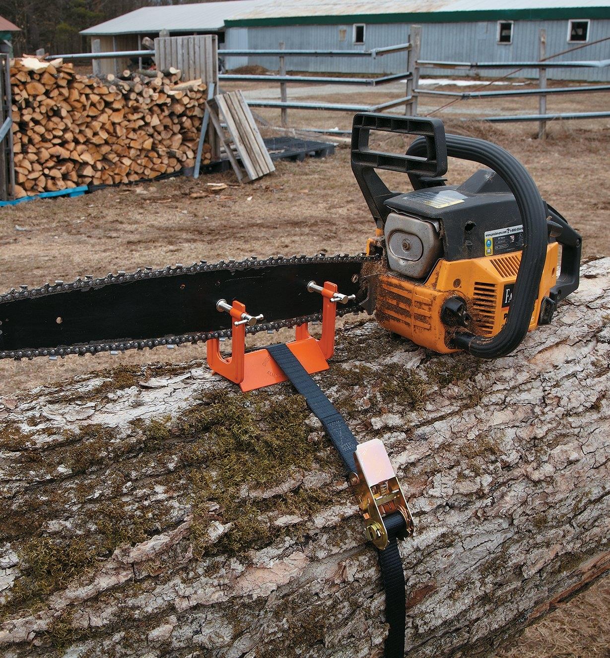 Vise clamped onto a chain-saw blade and tied to a log with the included strap