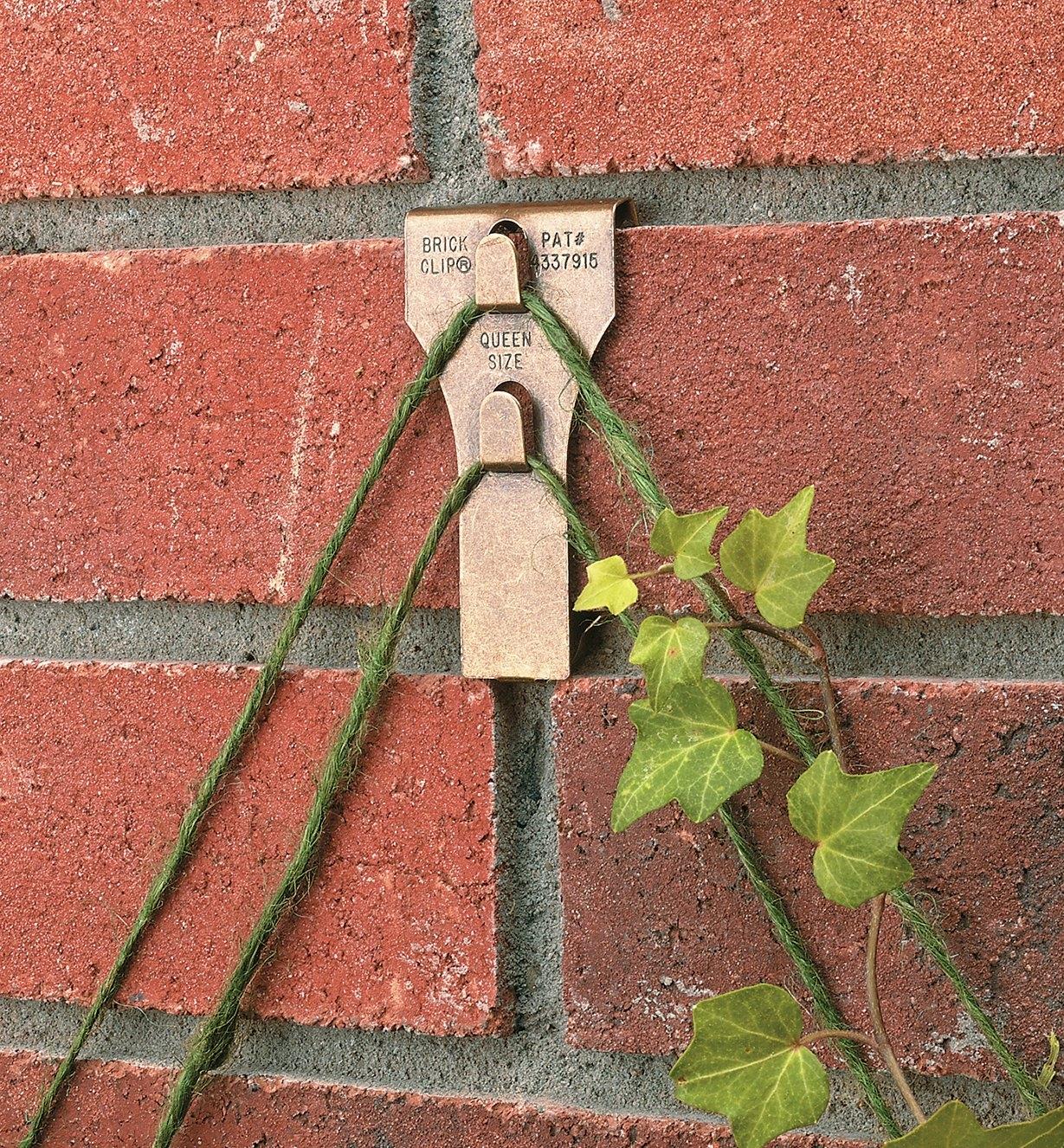 Crochet à pince Brick Clip retenant un treillis de corde sur un mur de briques