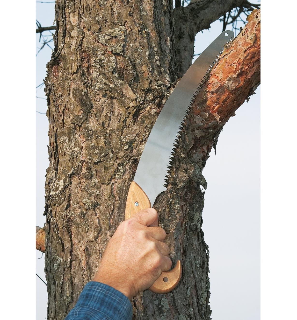 Using the pruning saw to cut through a tree branch