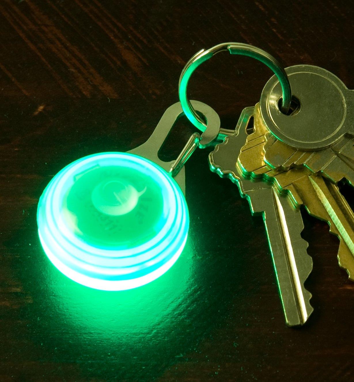 Lampe DEL à mousqueton, vert, allumée et accrochée sur un porte-clés 