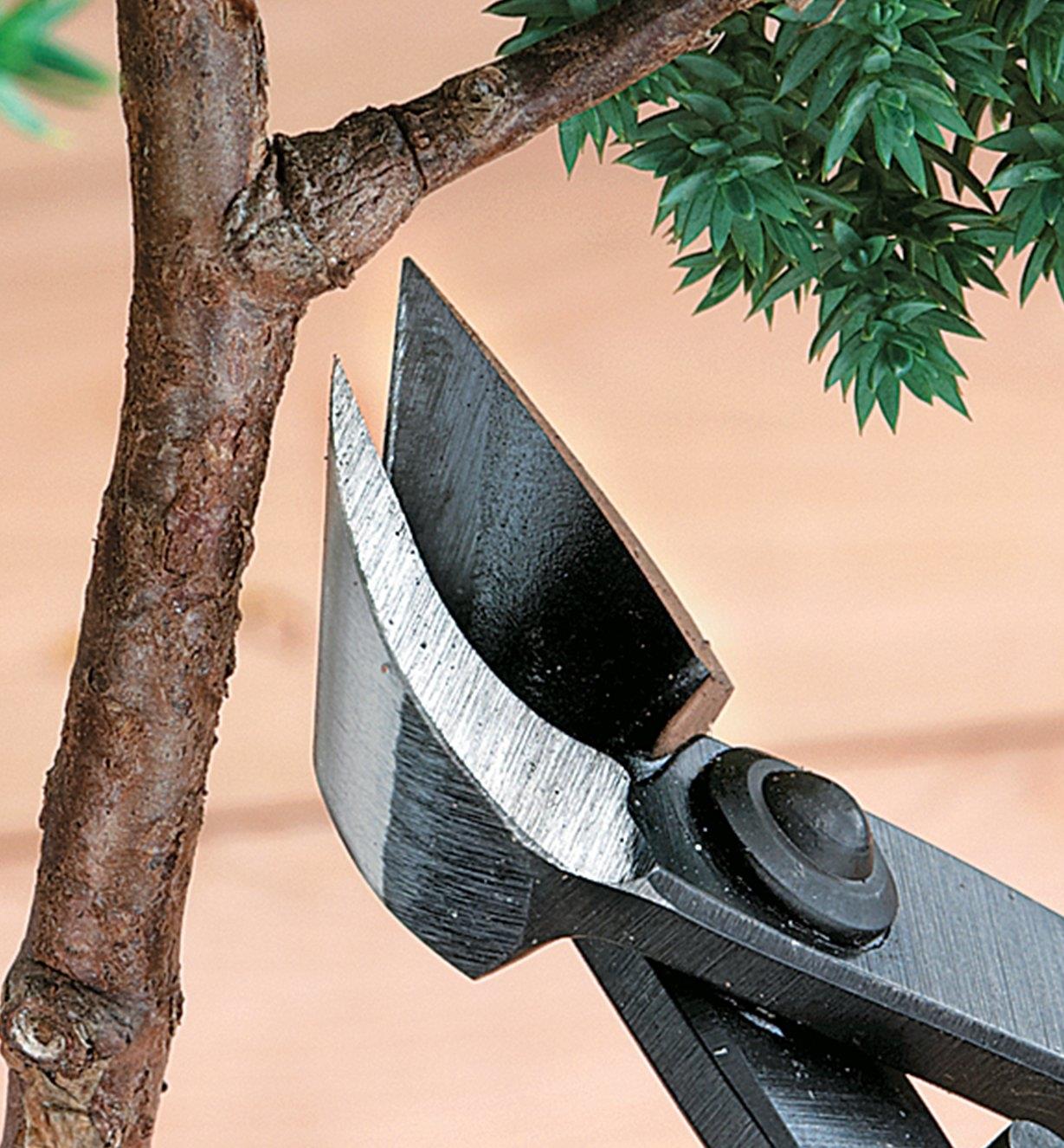 Trimming a branch with a Concave Cutter