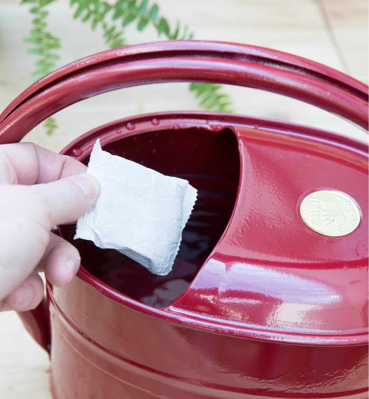 Placing a compost tea bag in a watering can