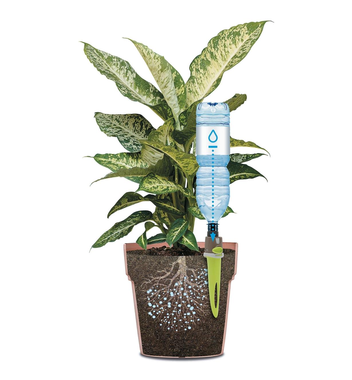 Cutaway illustration of adjustable-flow drip spike with a water bottle inserted in a plant pot
