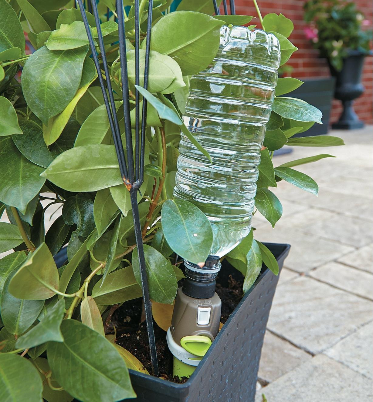 Adjustable-Flow Drip Spike with a water bottle attached inserted in a plant pot