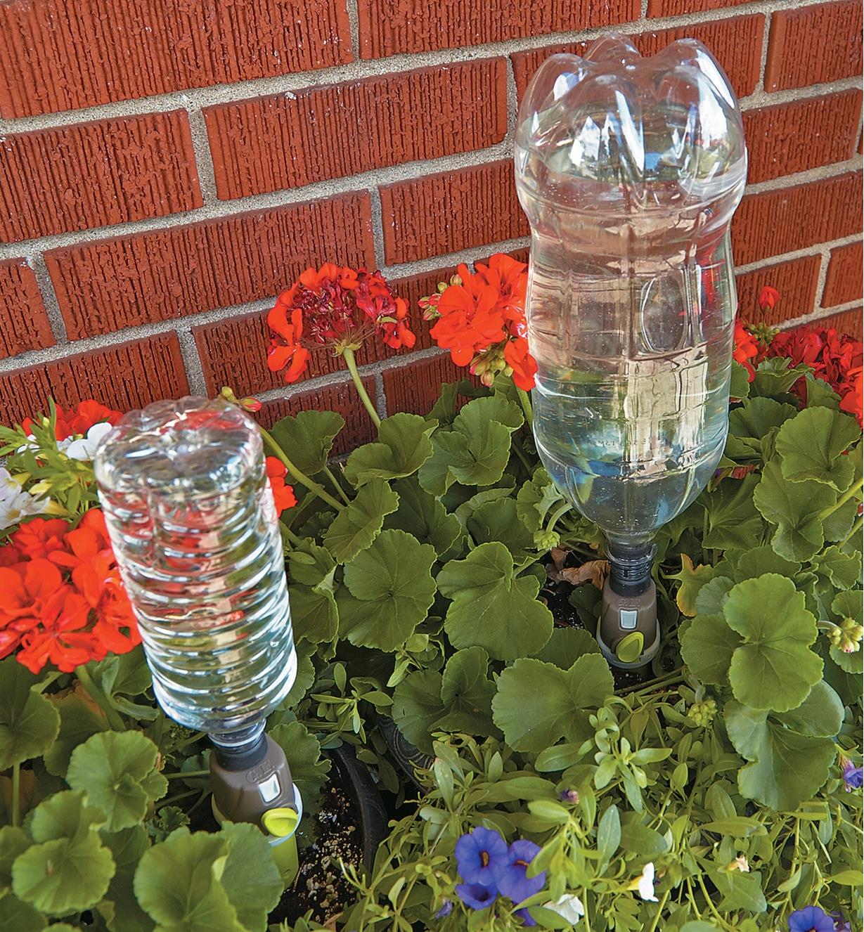 Two adjustable-Flow Drip Spikes with plastic bottles attached inserted in a flower garden