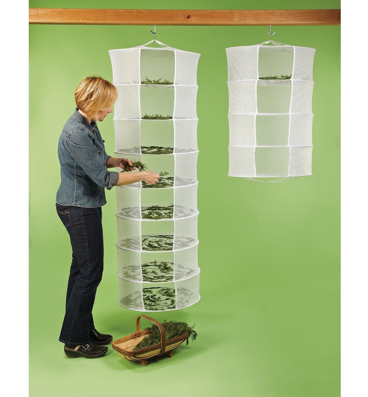 A woman places herbs on the shelves of an eight-tier Herb Dryer