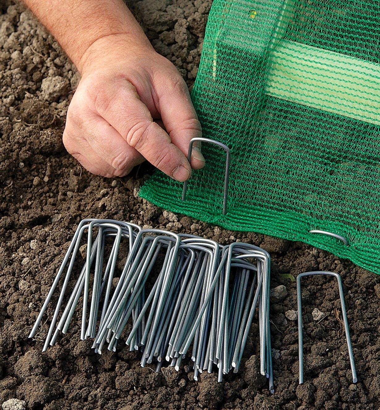 Inserting Garden Staples through the edge of some shade cloth to secure it to the ground