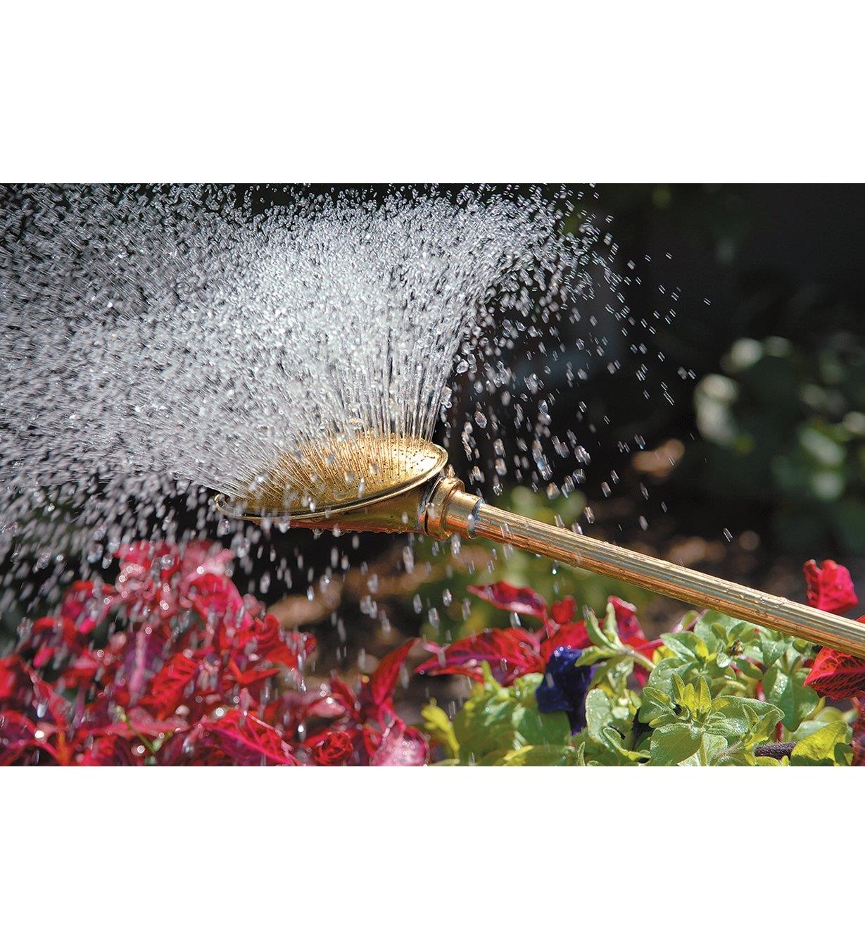 Haws Brass Water Wand watering flowers outdoors