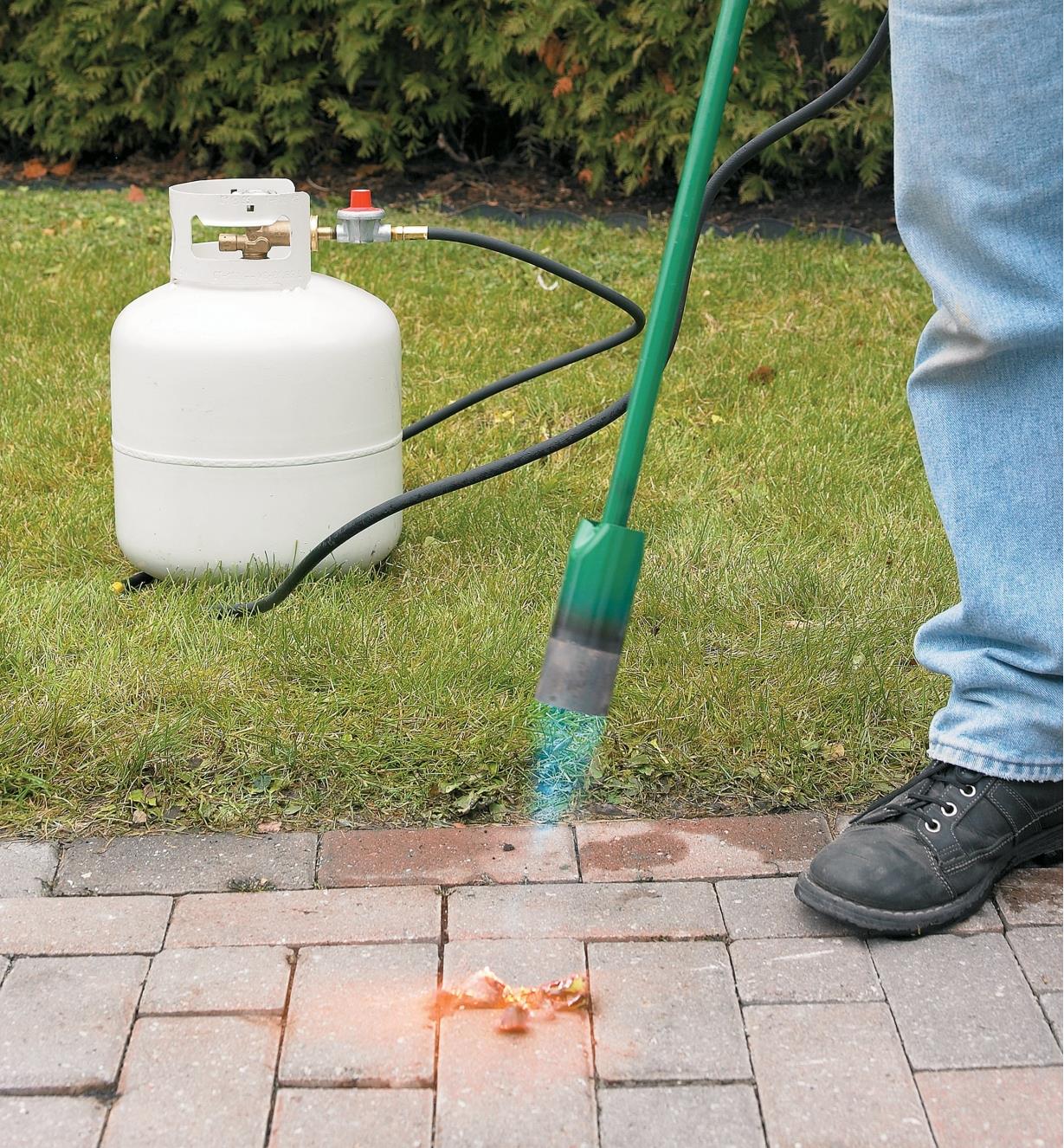 Using a Giant Weed Torch to remove weeds from between patio stones