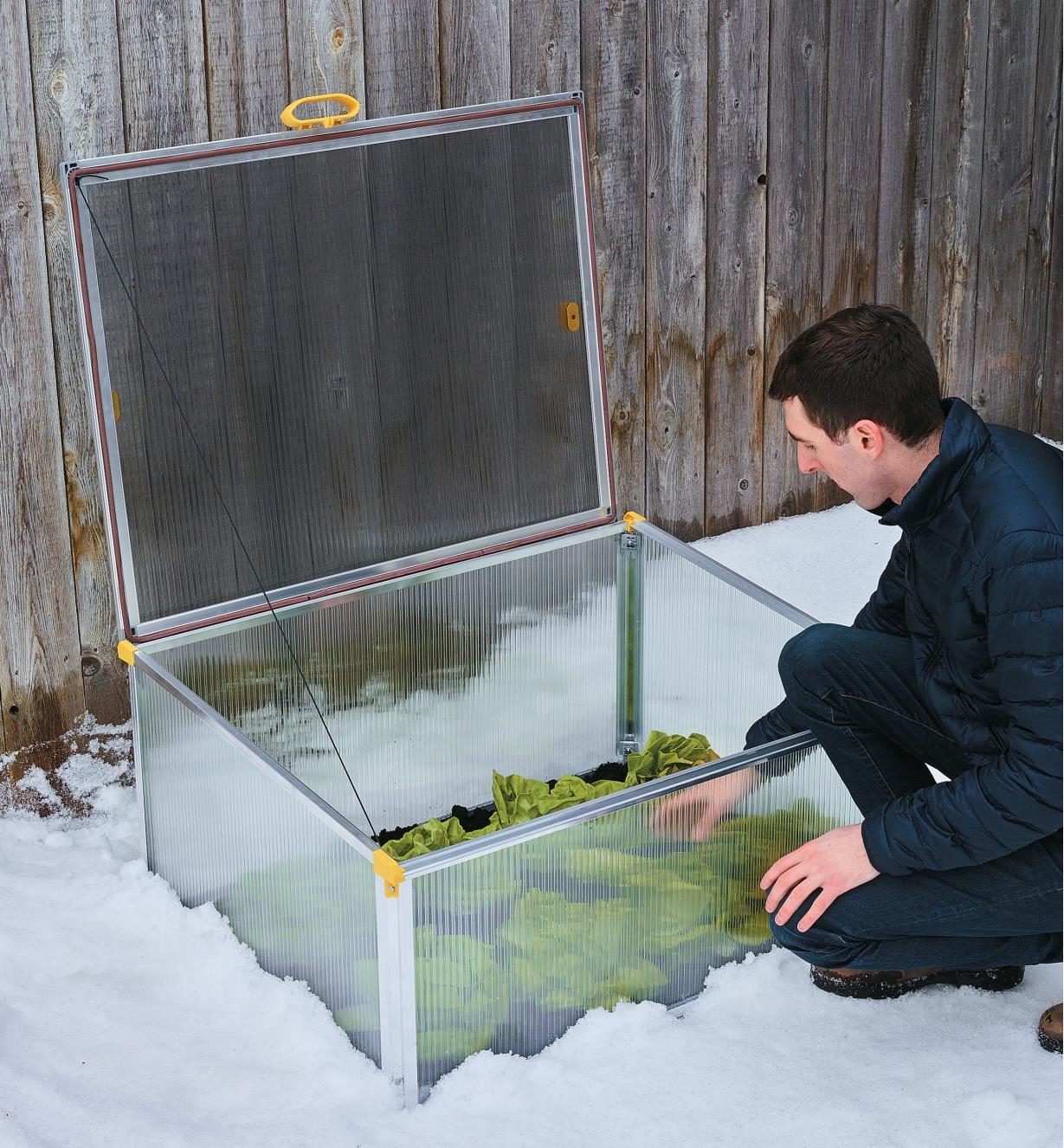 A man tends his plants in the Double-Walled Cold Frame