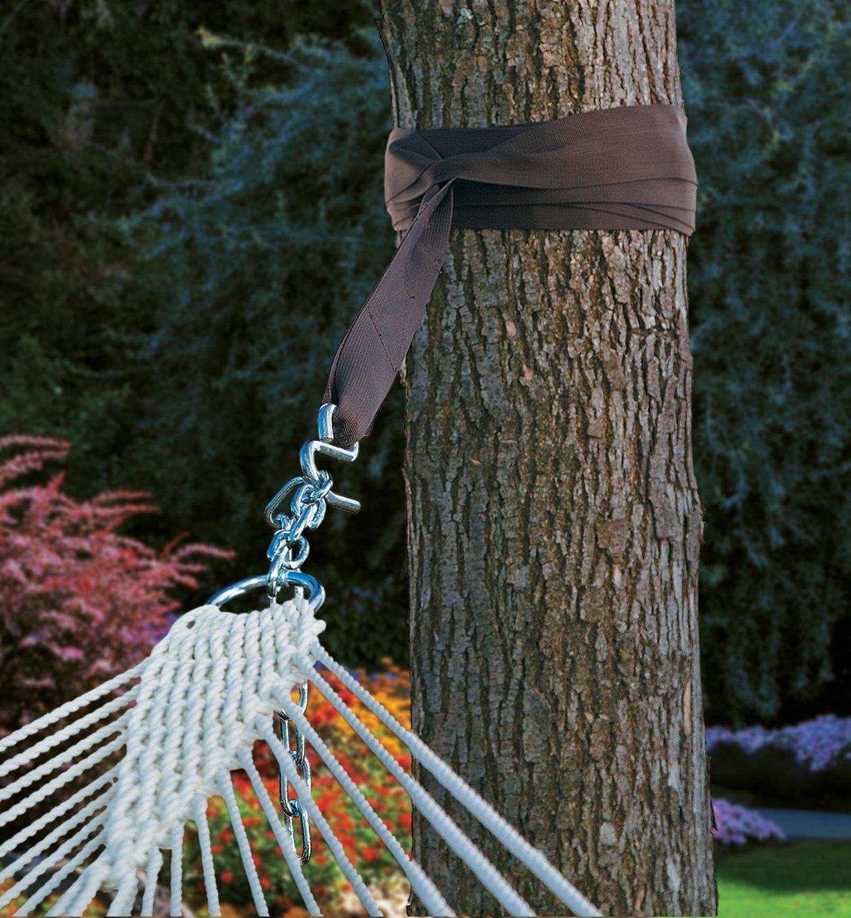 Hammock Tree Strap wrapped around a tree trunk, its hook attached to the end of a hammock