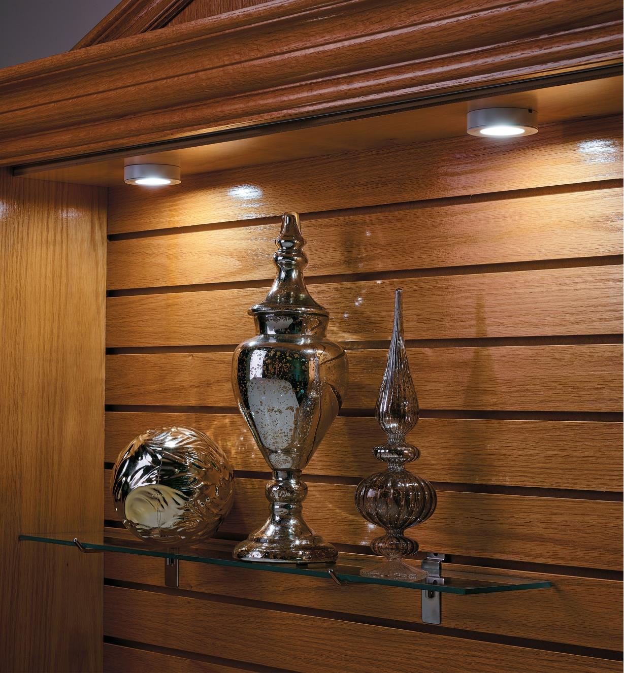 Example of Indoor LED Downlights installed in a display case