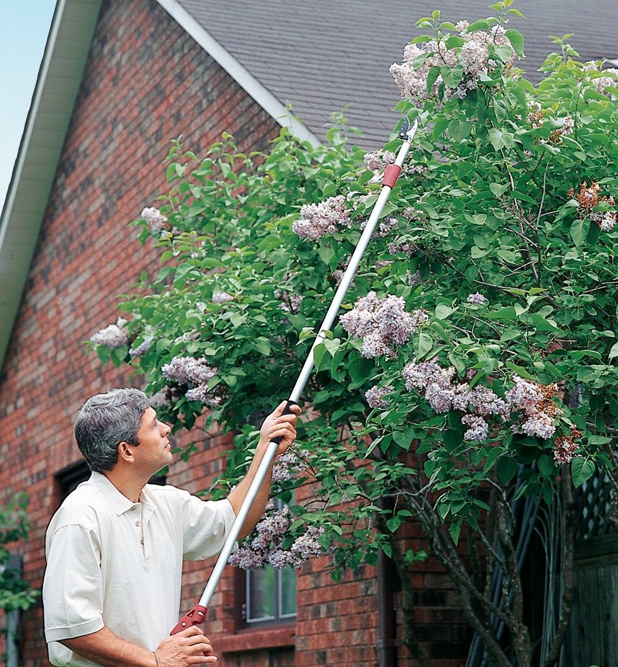 Homme se servant d'un sécateur à long manche télescopique pour couper des lilas en hauteur dans un arbre