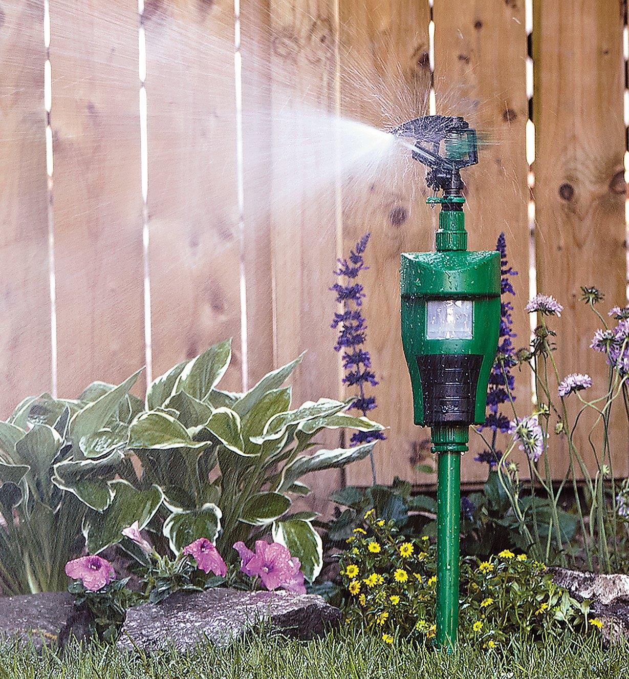 Pest-Deterring Jet Sprayer installed in a flower garden, spraying a burst of water
