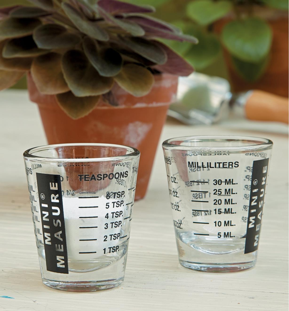 Deux verres à mesurer miniatures devant une plante en pot