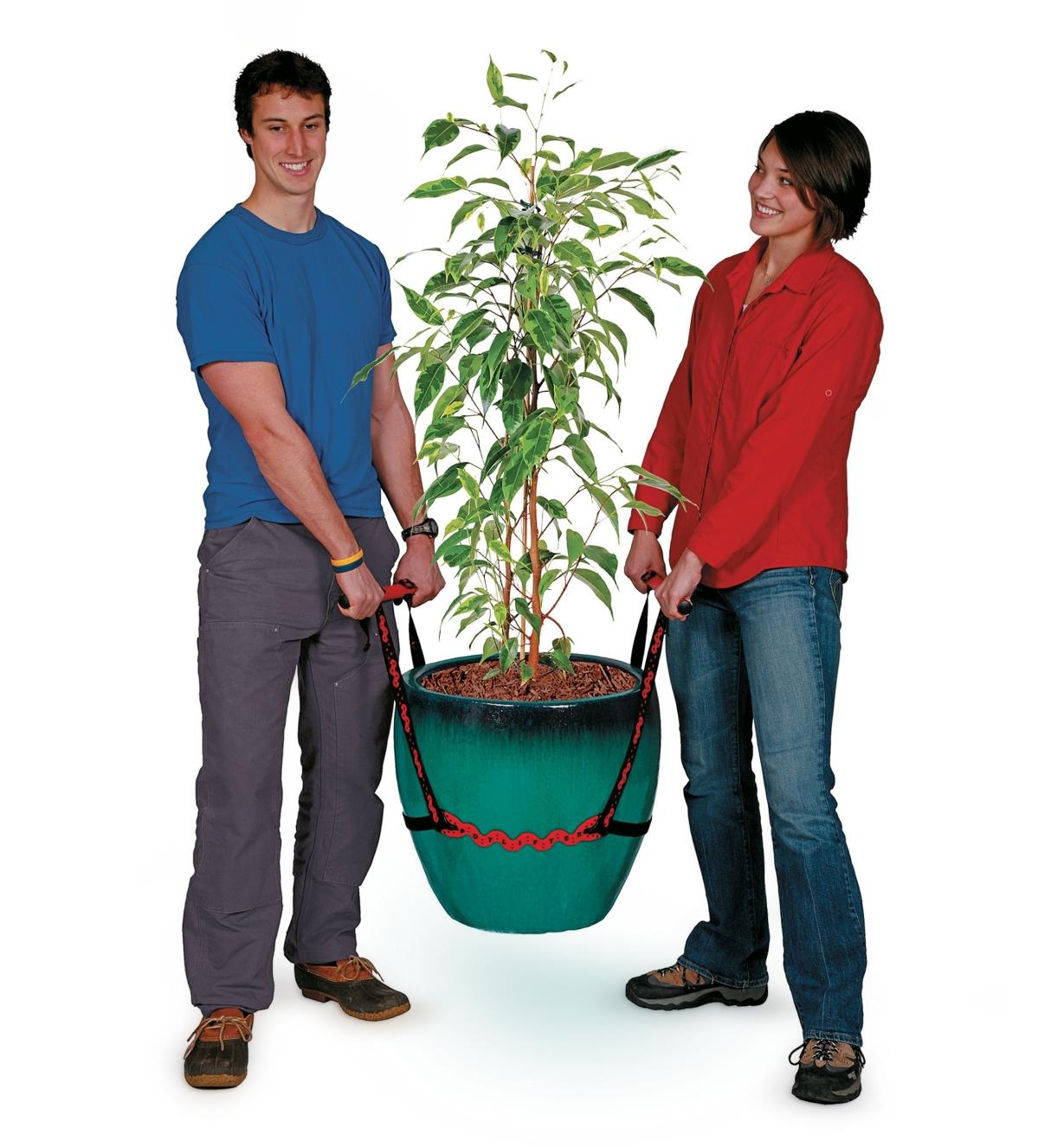 Deux personnes transportant un arbre dans un gros pot avec des sangles de transport PotLifter