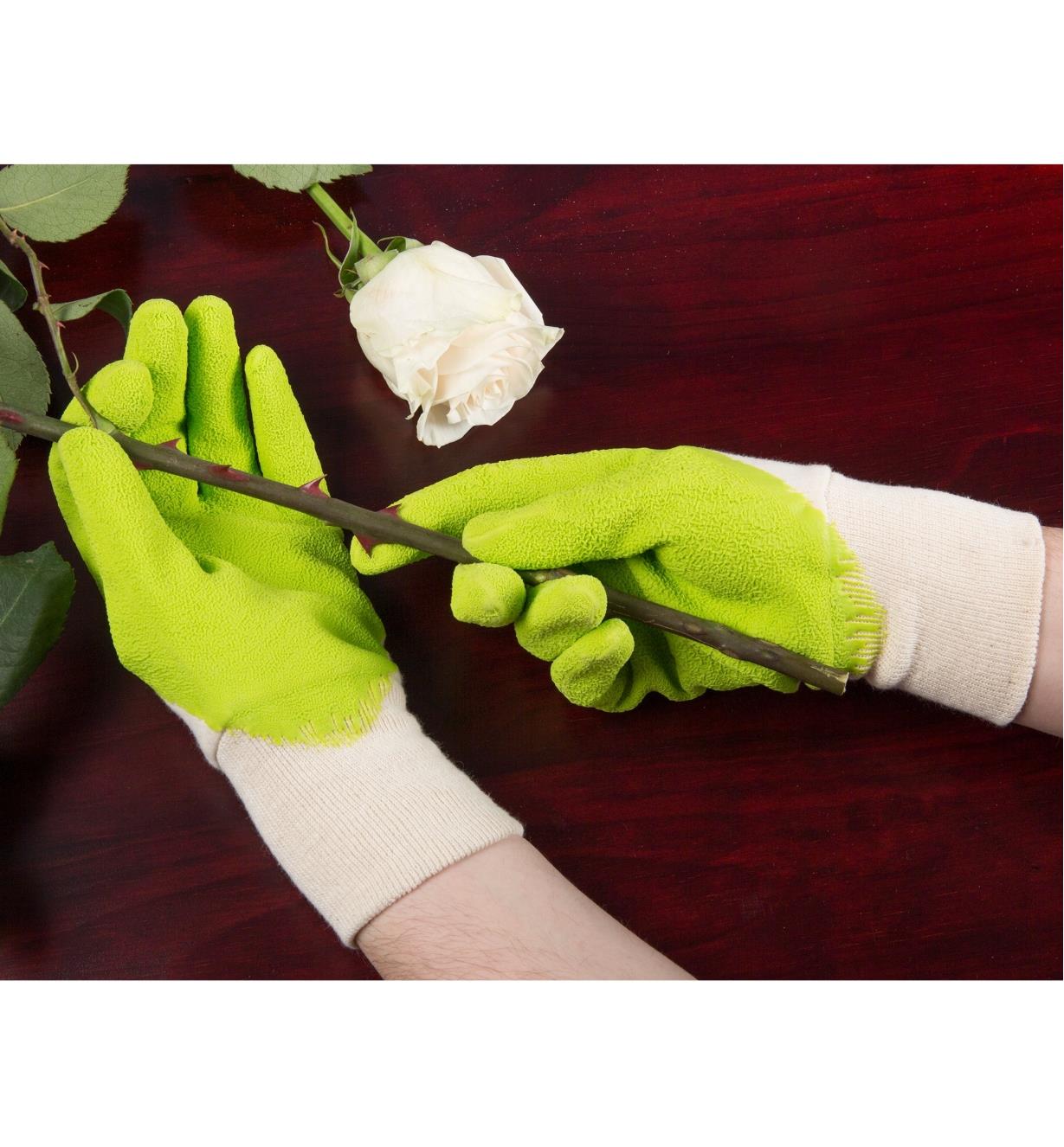 Wearing the Original Gripper Mud Gloves and holding a rose branch