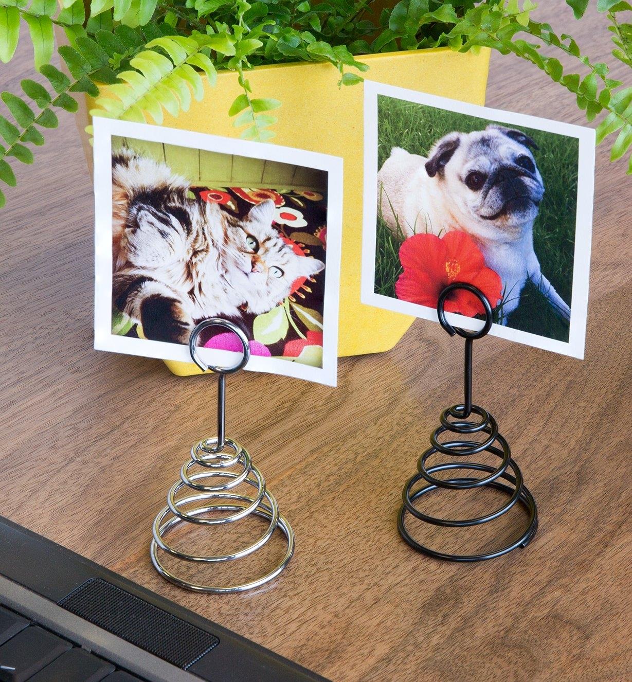 Two Spring Card Holders holding photographs of pets