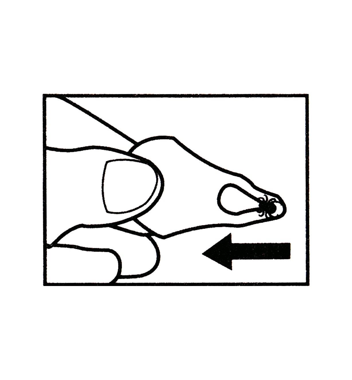 Illustration montrant comment glisser la fente effilée de l'extracteur de tiques vers la tique