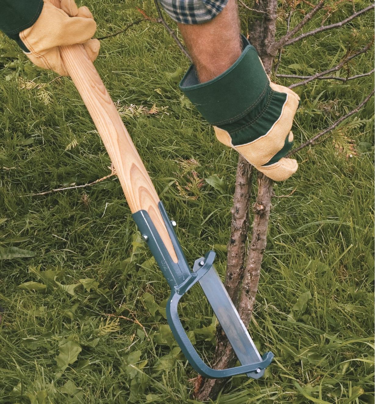 Using the Clearing Axe to remove a small tree