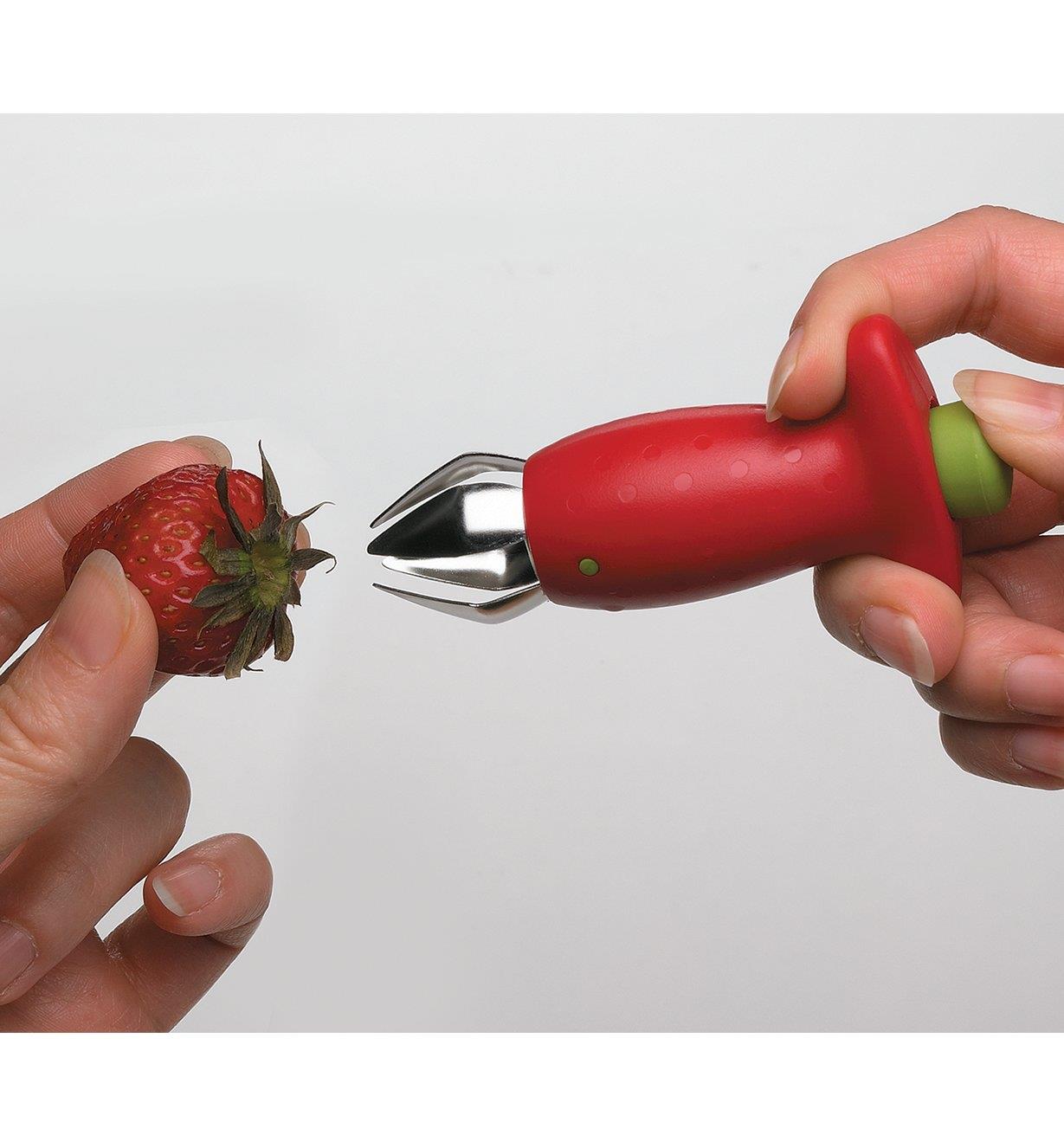 Pressing the rear button on the Strawberry Huller to open the jaws in preparation for hulling a strawberry