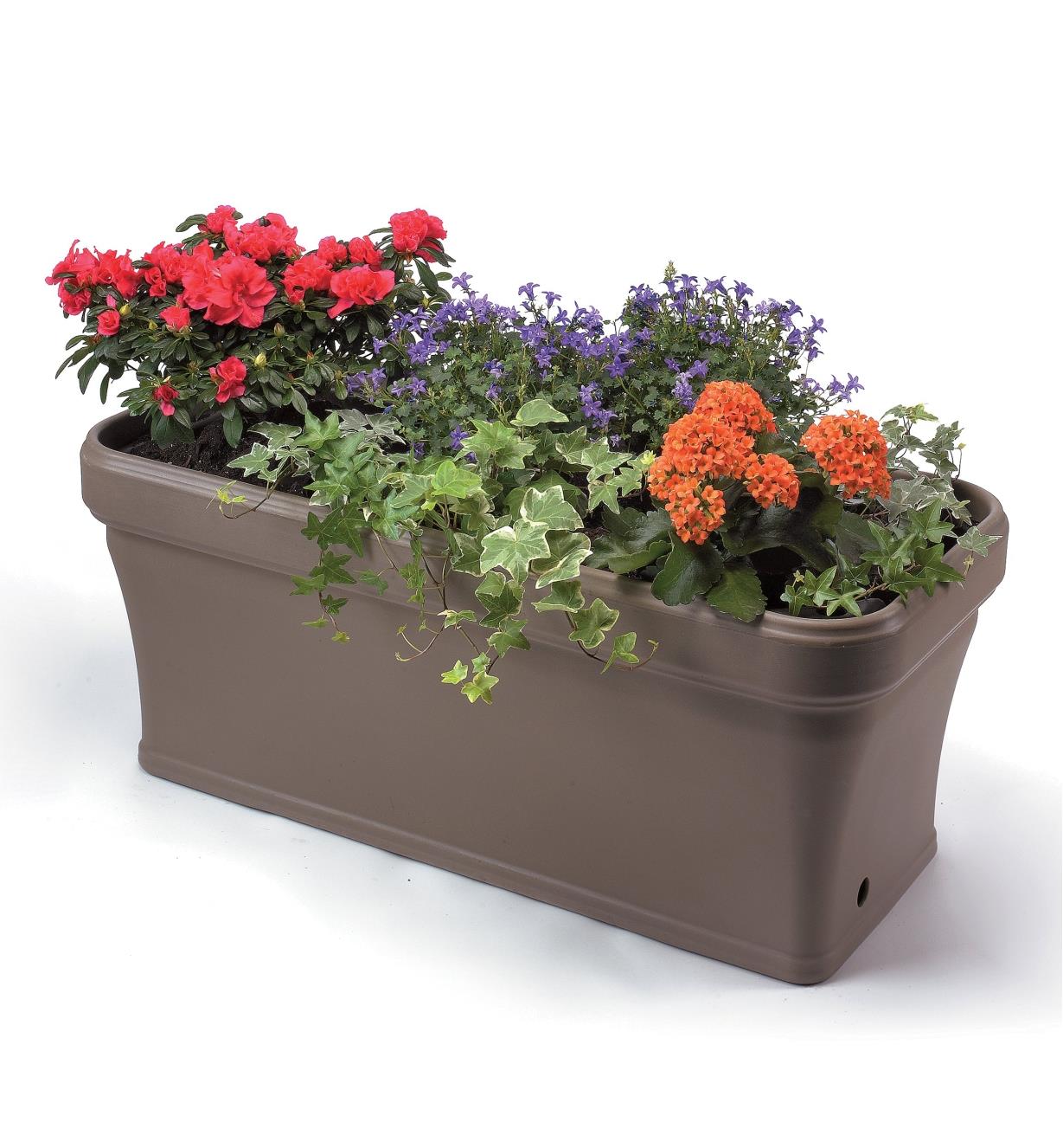 A variety of flowers growing in the Self-Watering Planter