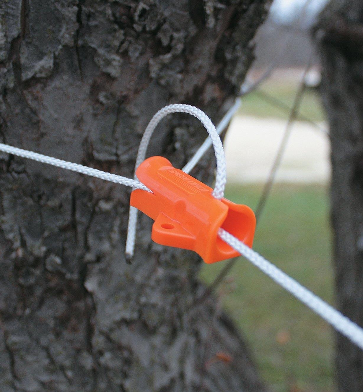 Speed Cinch Tie-Down Utility Cinch secures a rope to a tree