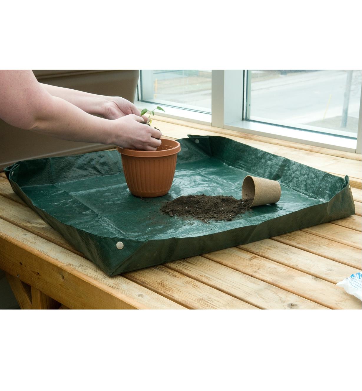 Potting a seedling on the Tabletop Tarp