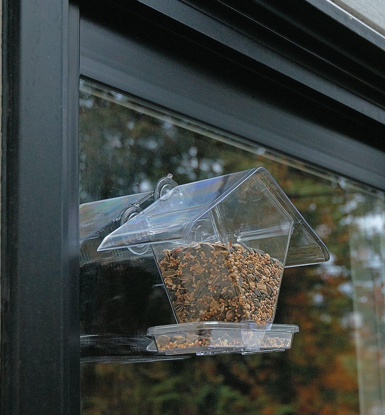Outside view of Window Bird Feeder mounted on a window