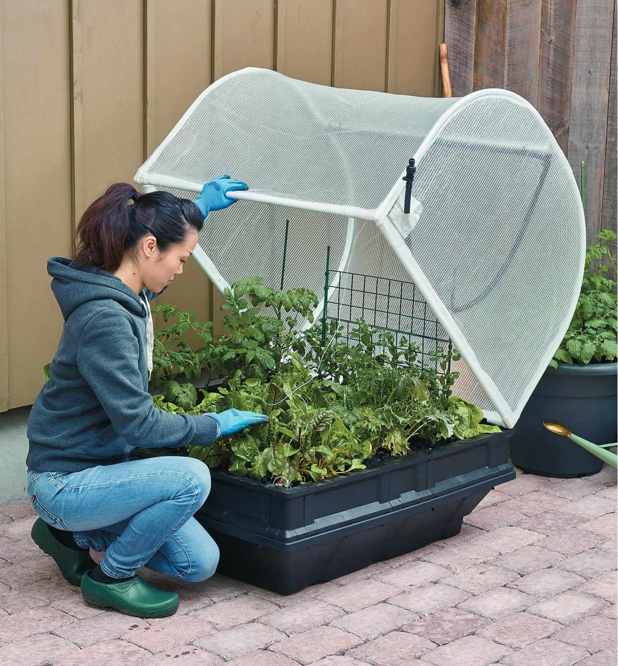 A woman lifts the cover on the medium Vegepod container garden to tend to plants