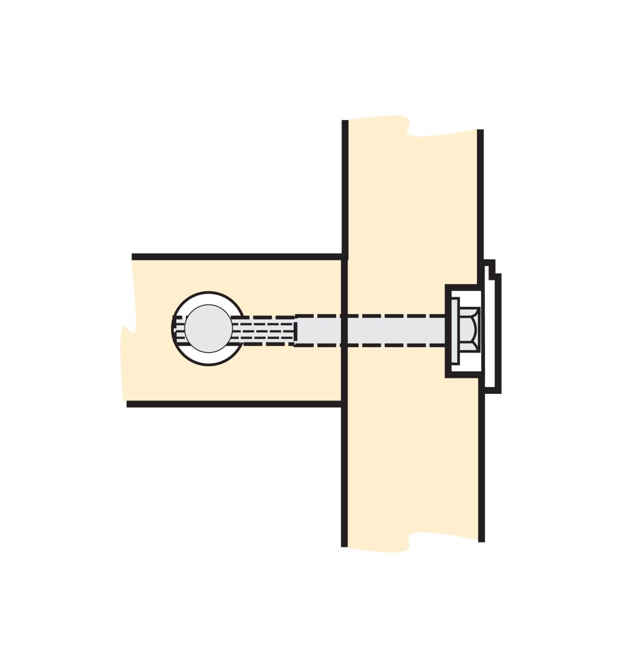 Cutaway illustration of installed bed bolt with cover
