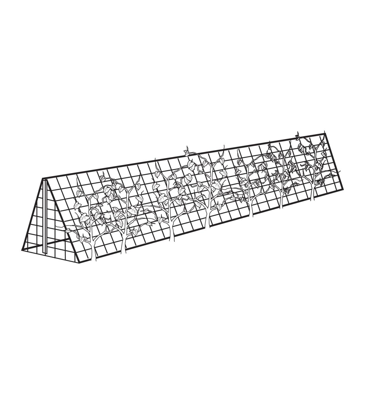 Illustrated example of triangular trellis over a garden row, made with Garden Netting