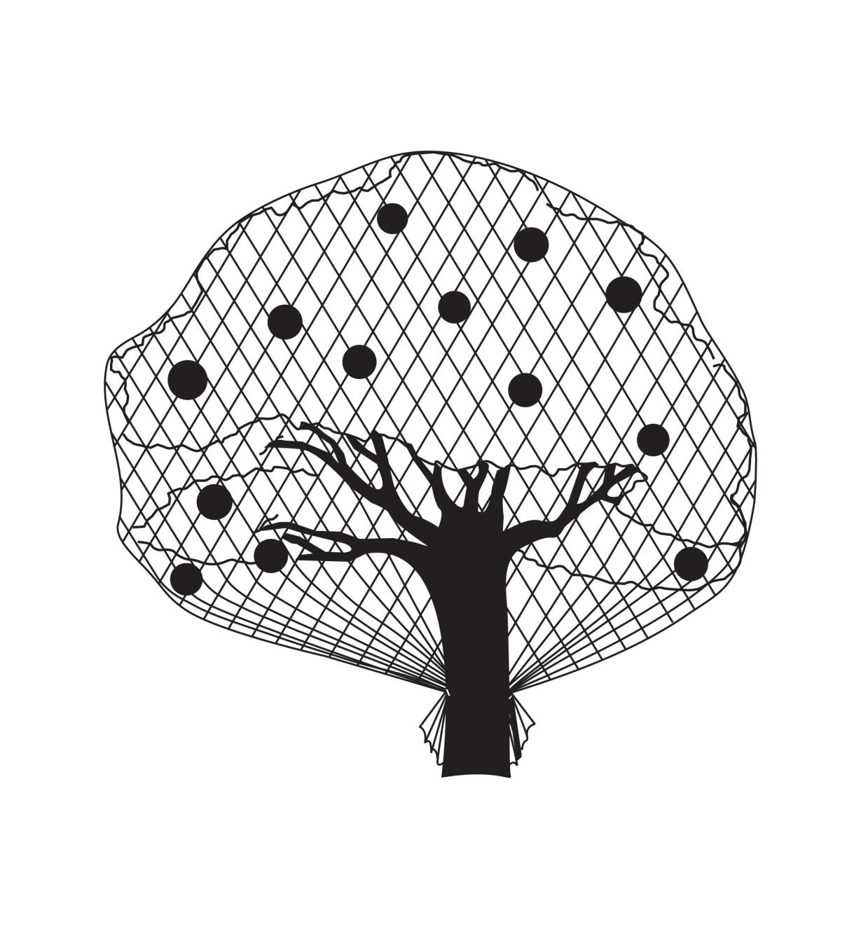 Illustrated example of a fruit tree covered in garden netting