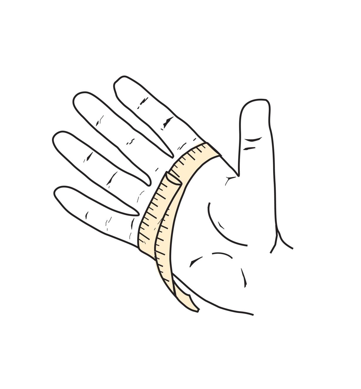 Illustration montrant la paume d'une main enroulée d'un ruban à mesurer