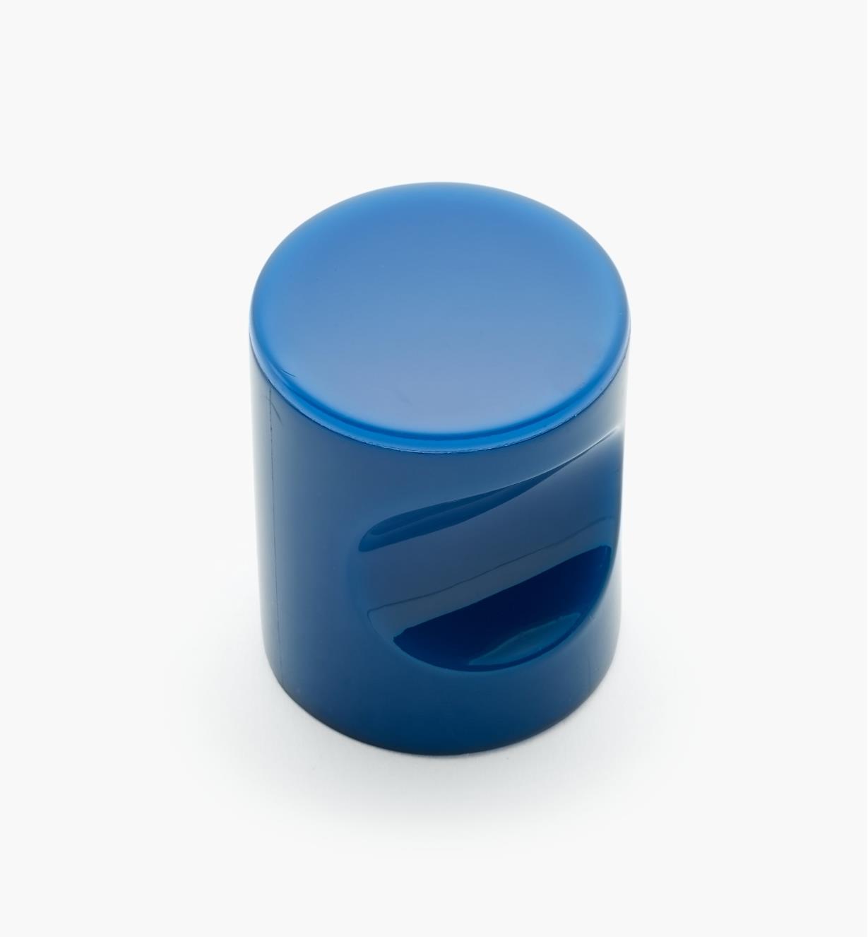 01W4536 - Bouton à encoche, bleu, 23 mm x 1 11/16 po
