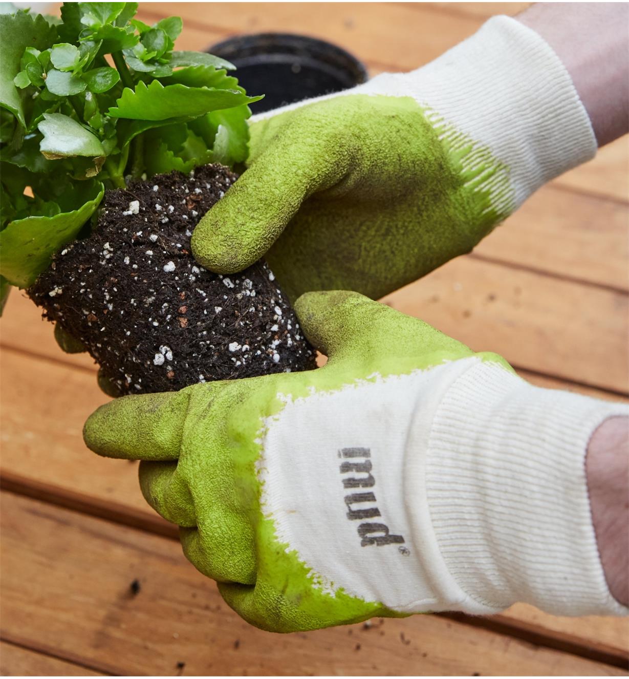 Repotting a plant, wearing mud gloves